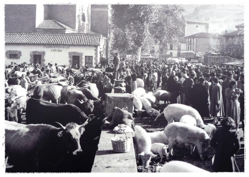 Una feria o mercado en Potes hacia 1960, con cerdos a la venta.